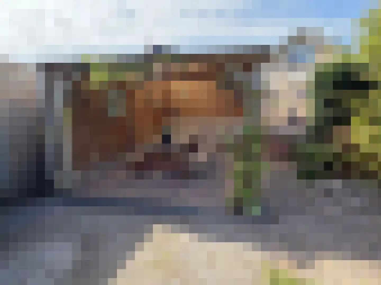 Nieuwe Krim 10 Coevorden foto 3
