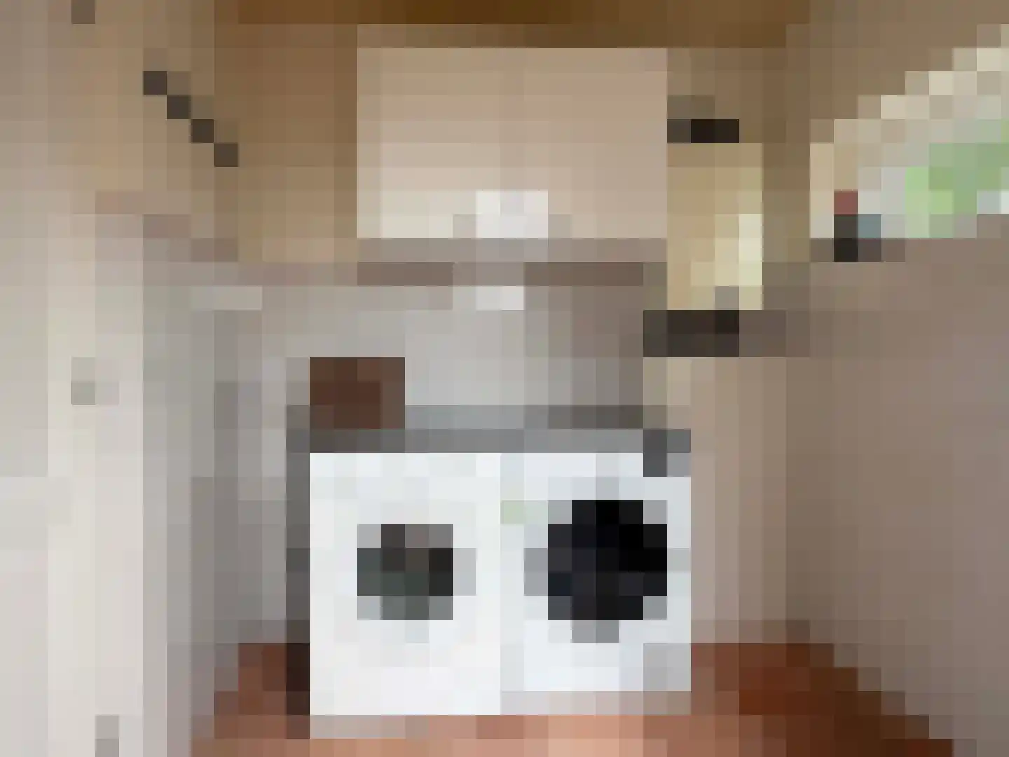 Nieuwe Krim 10 Coevorden thumbnail 32