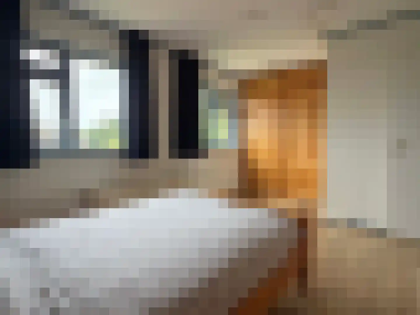 Nieuwe Krim 10 Coevorden thumbnail 37