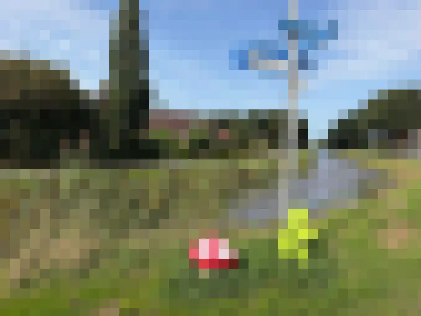 Nieuwe Krim 10 Coevorden thumbnail 8