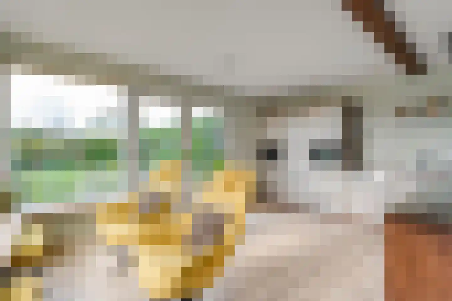 Nieuwe Krim 37 Coevorden thumbnail 30