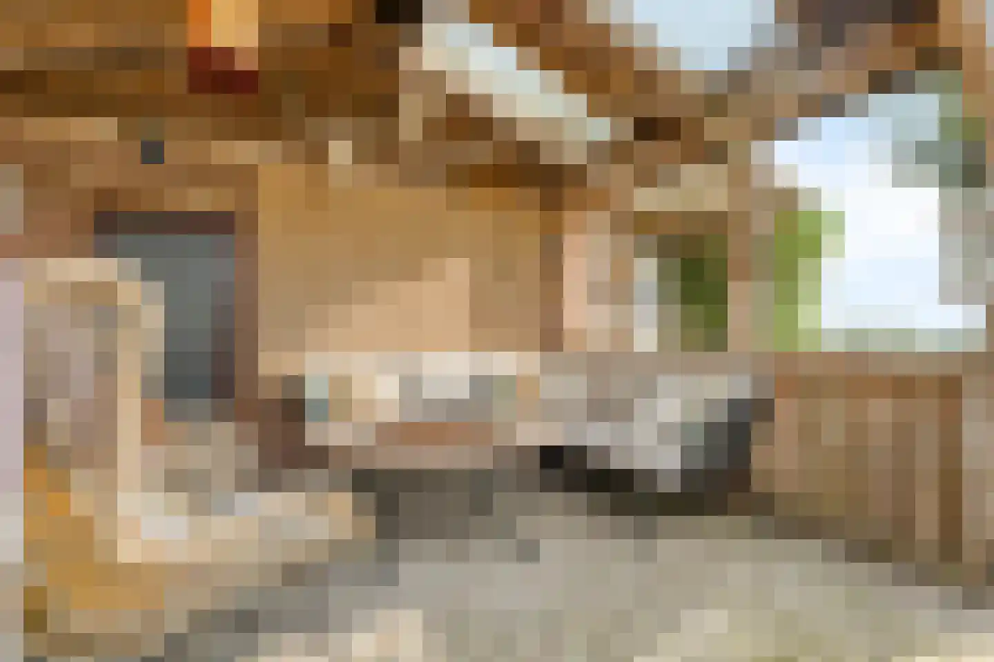 Nieuwe Krim 37 Coevorden thumbnail 54