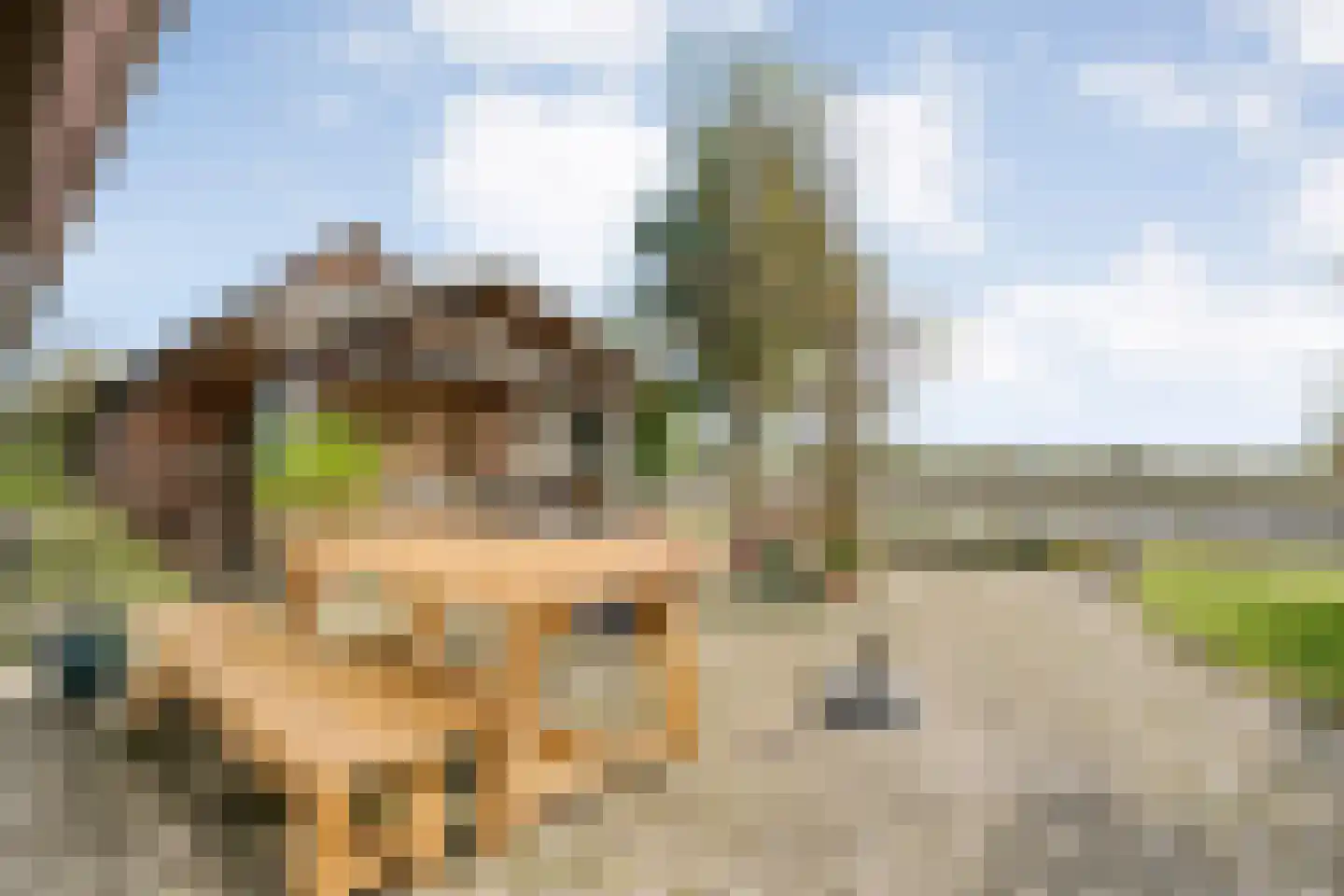 Nieuwe Krim 37 Coevorden thumbnail 57