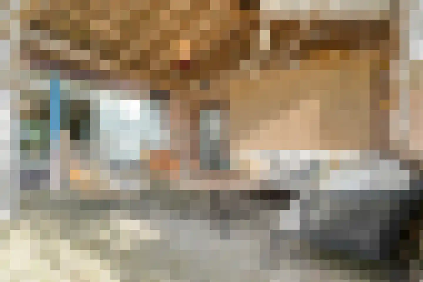 Nieuwe Krim 37 Coevorden thumbnail 57