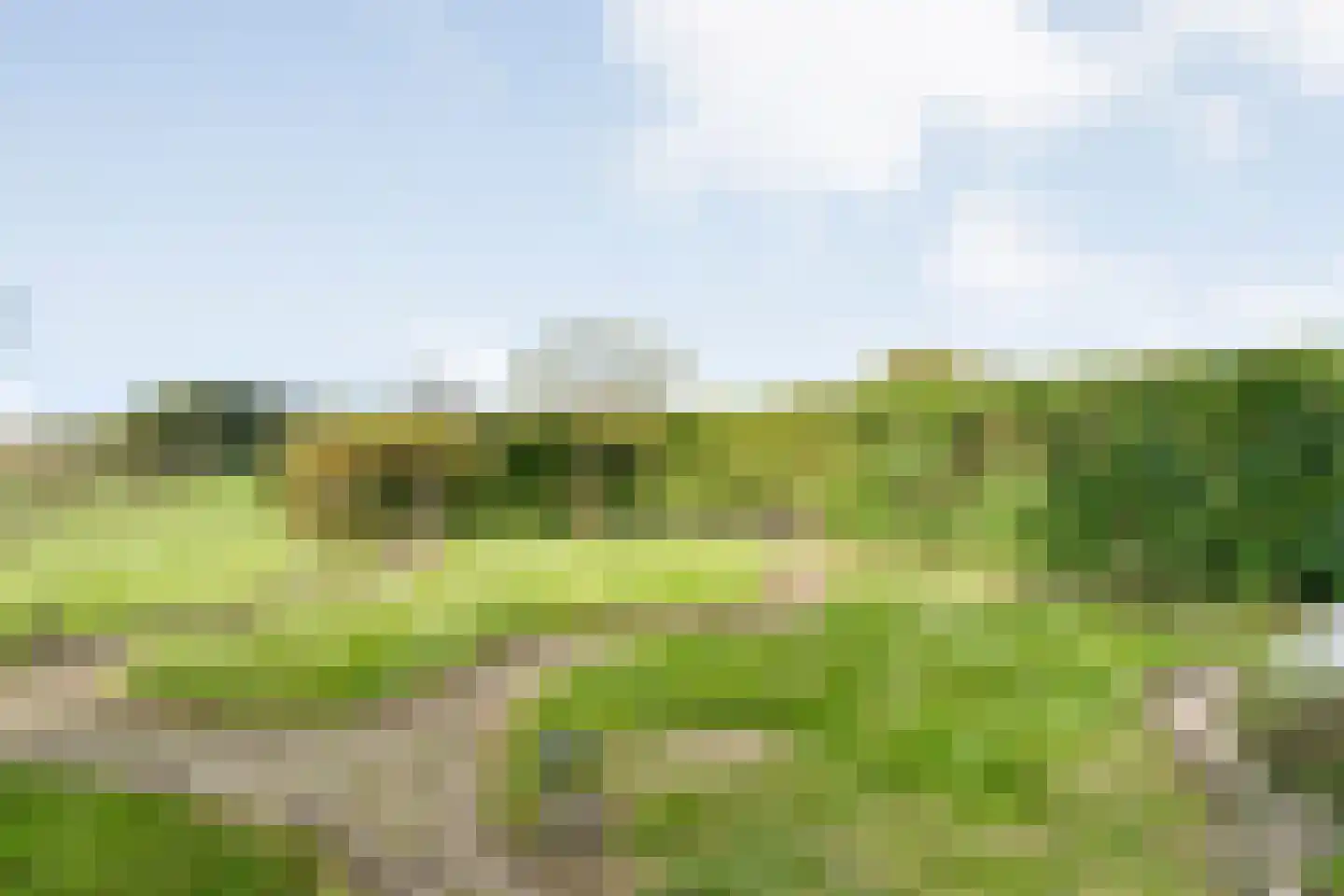 Nieuwe Krim 37 Coevorden thumbnail 58