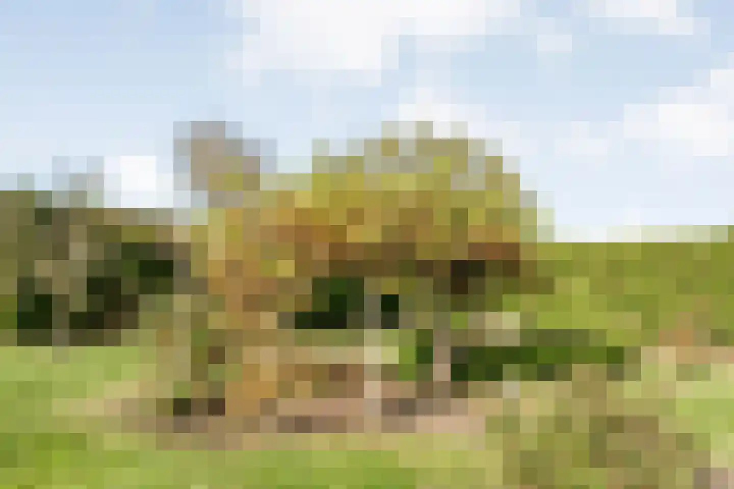Nieuwe Krim 37 Coevorden thumbnail 59