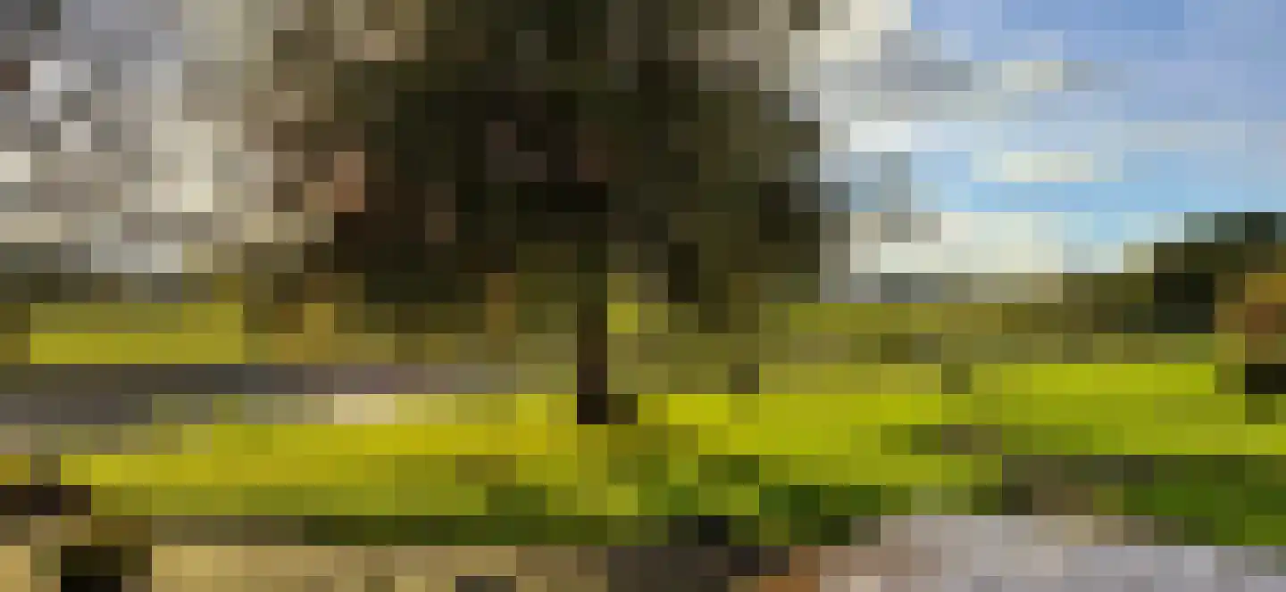 Nieuwe Krim 37 Coevorden thumbnail 61