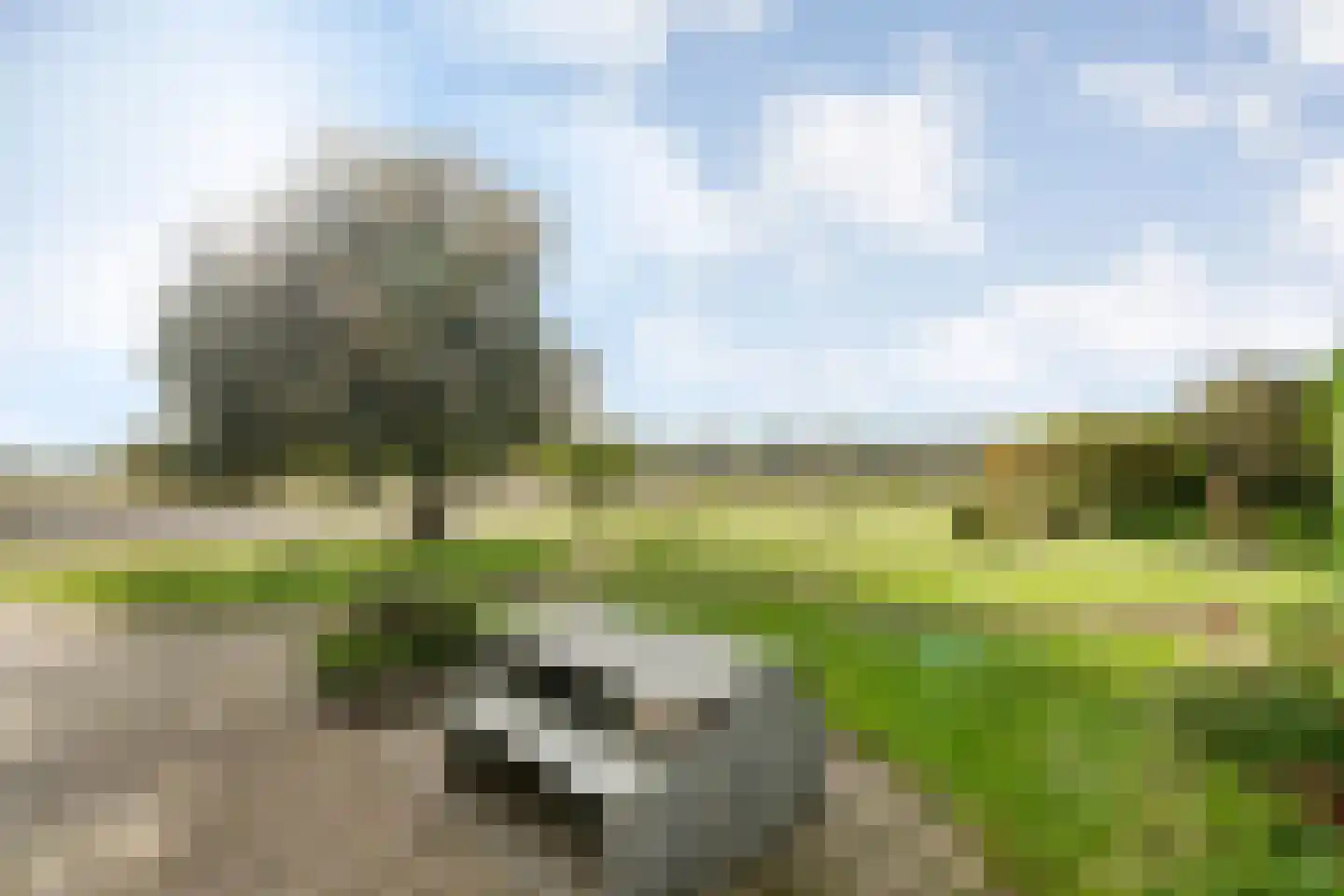 Nieuwe Krim 37 Coevorden thumbnail 62