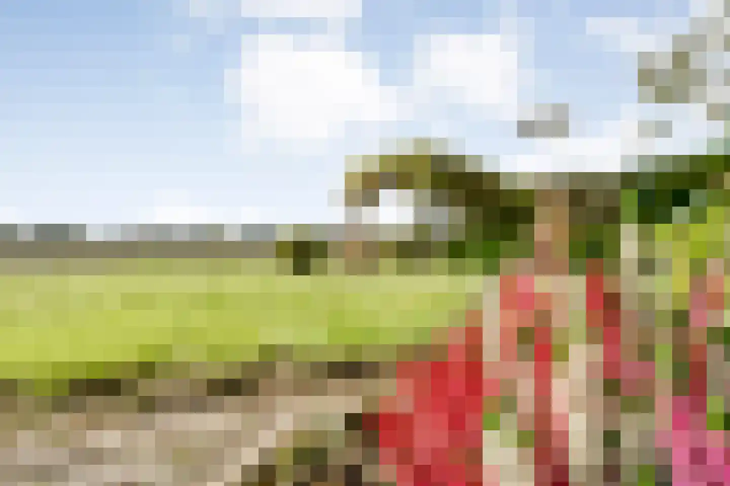 Nieuwe Krim 37 Coevorden thumbnail 62