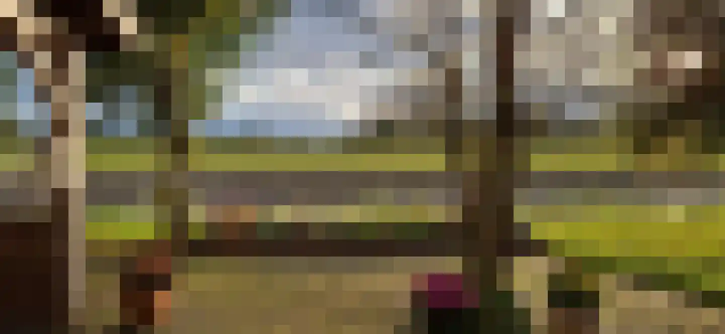 Nieuwe Krim 37 Coevorden thumbnail 65