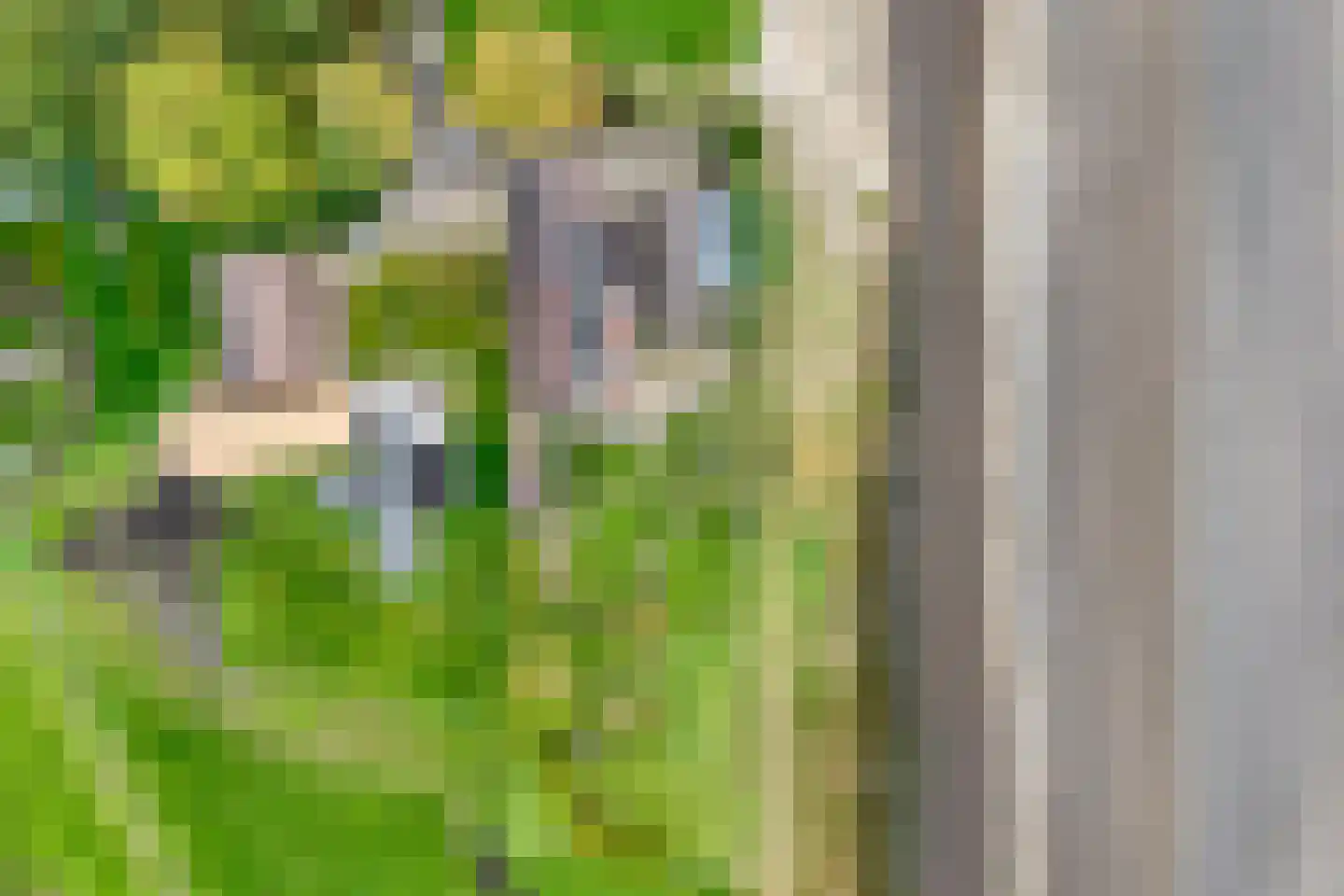 Nieuwe Krim 37 Coevorden thumbnail 7