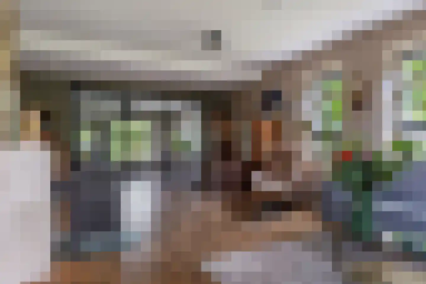 Nieuwe Krim 41 Coevorden thumbnail 16