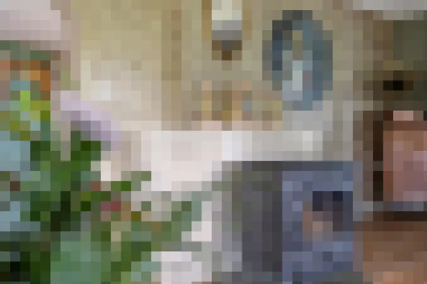 Nieuwe Krim 41 Coevorden thumbnail 17
