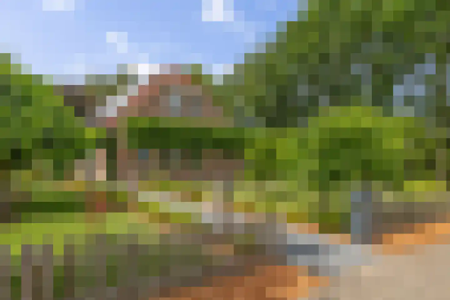 Nieuwe Krim 41 Coevorden foto 2