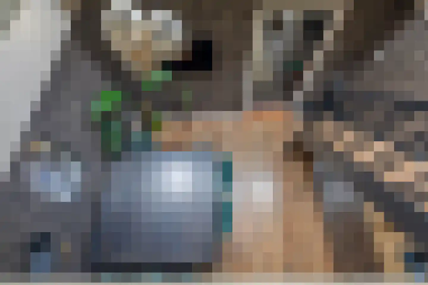 Nieuwe Krim 41 Coevorden thumbnail 32