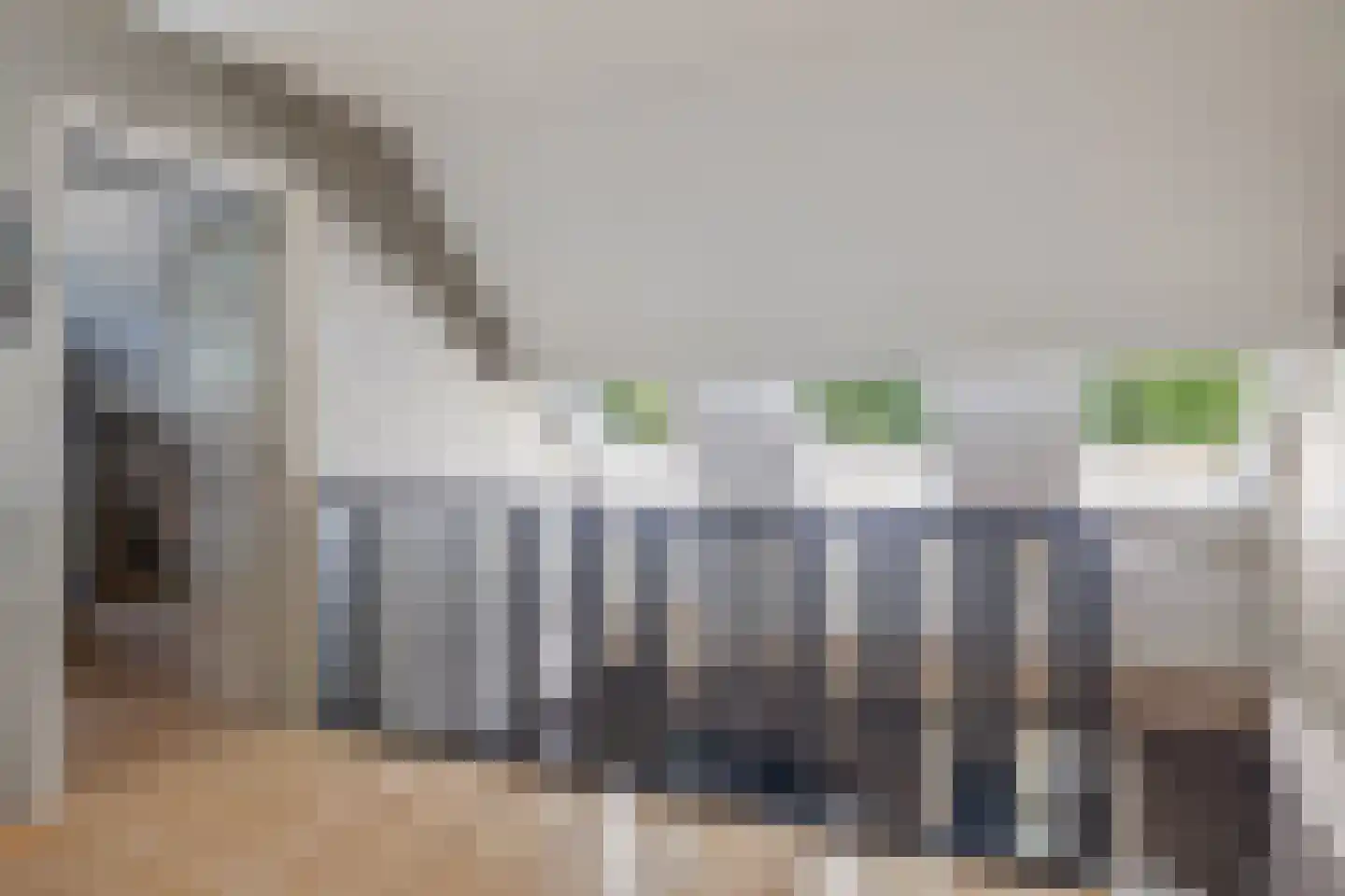 Nieuwe Krim 41 Coevorden thumbnail 33