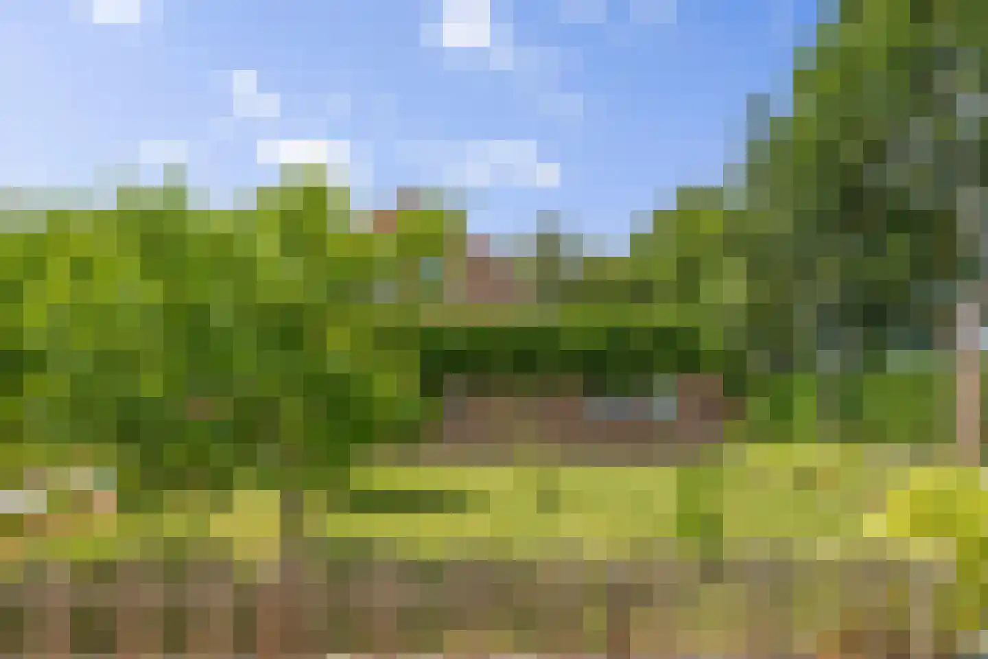 Nieuwe Krim 41 Coevorden thumbnail 4