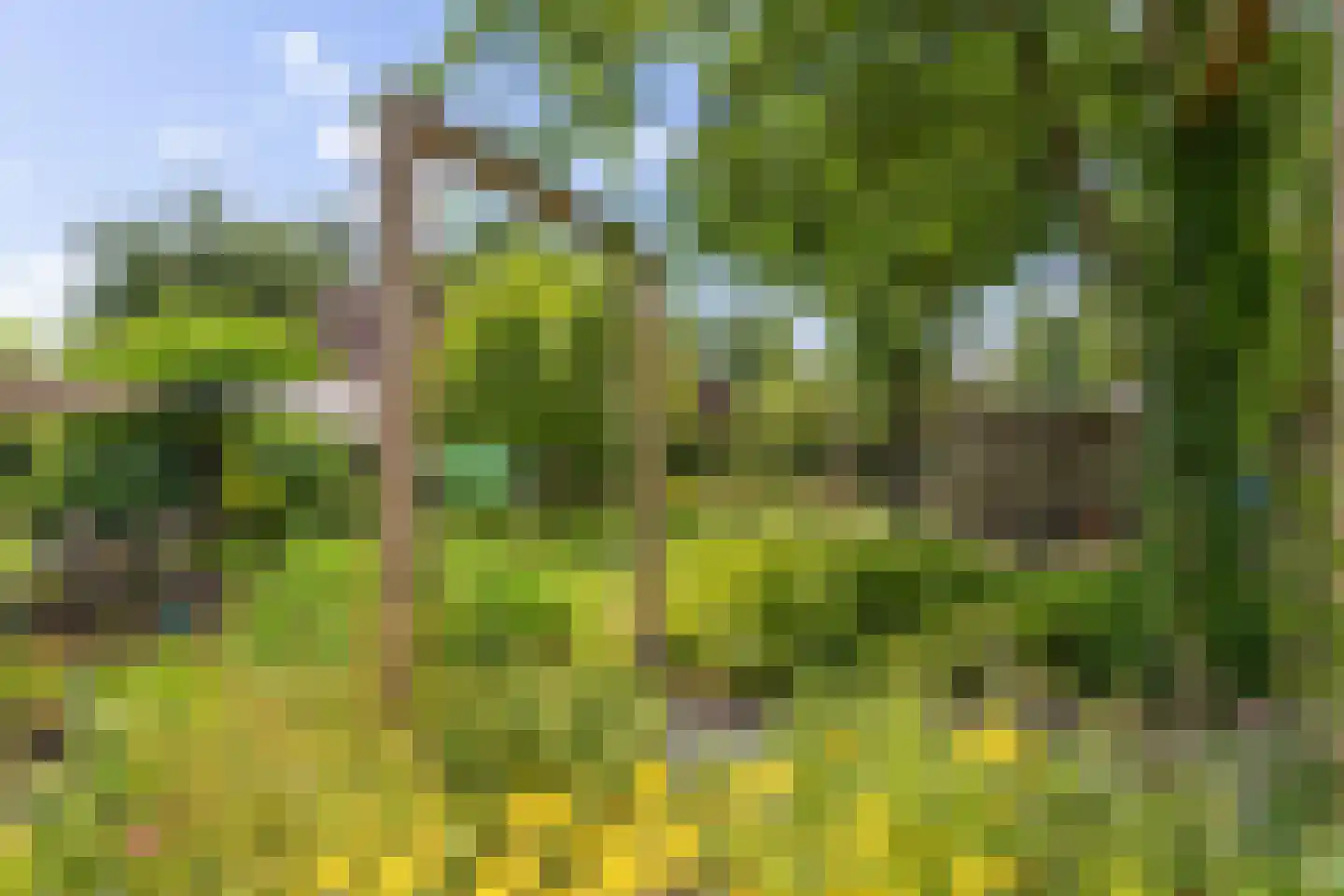 Nieuwe Krim 41 Coevorden thumbnail 45