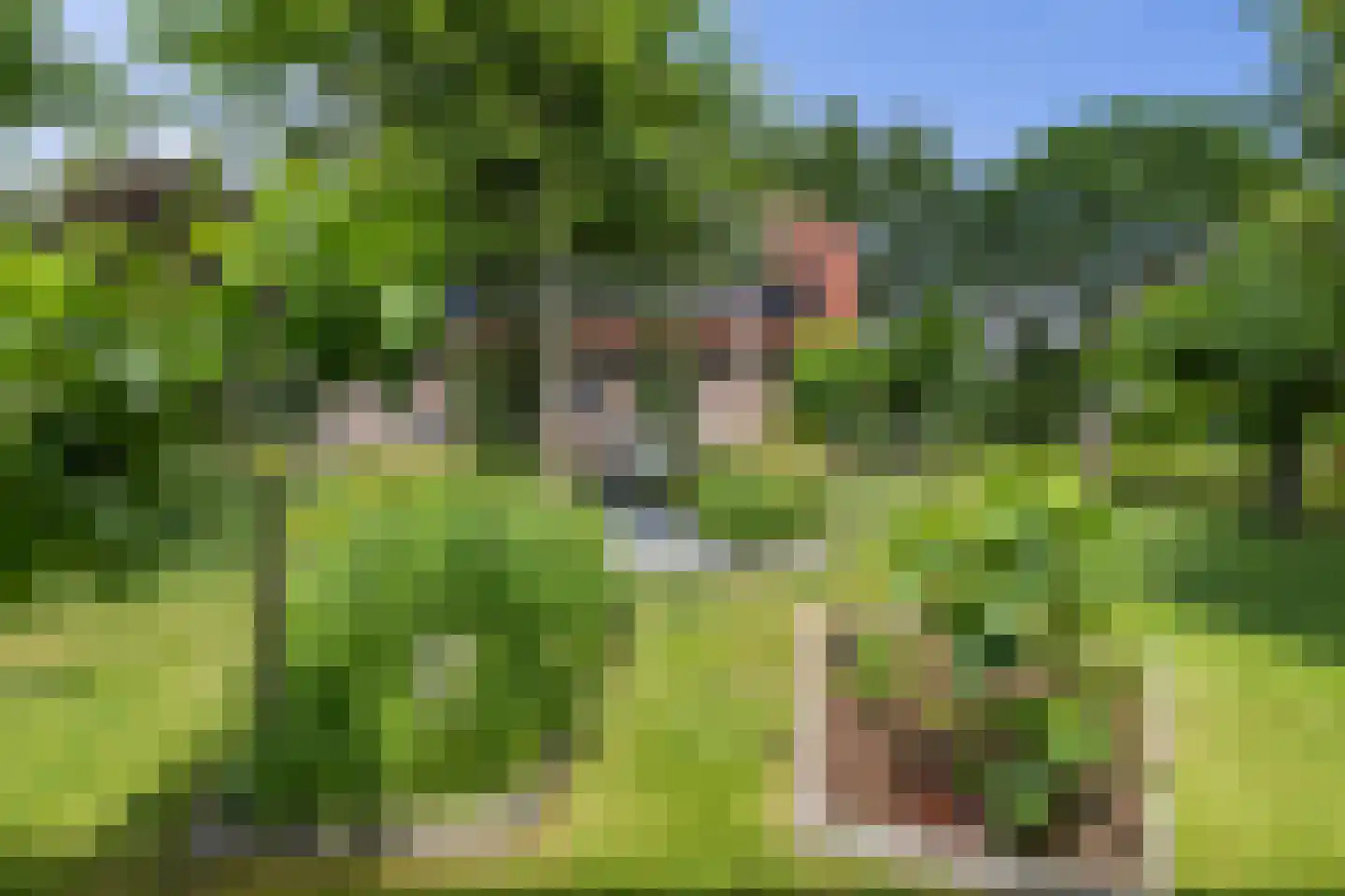 Nieuwe Krim 41 Coevorden thumbnail 46
