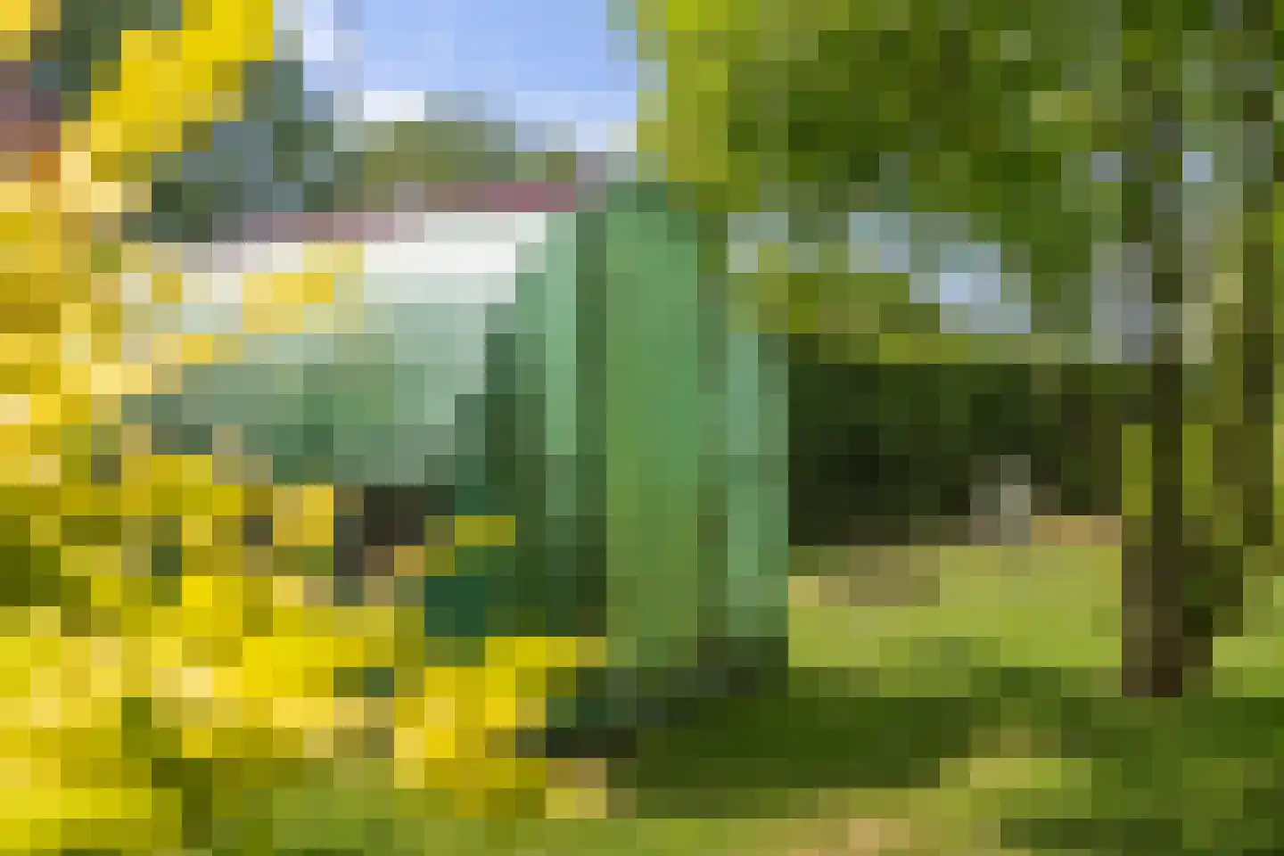 Nieuwe Krim 41 Coevorden thumbnail 47