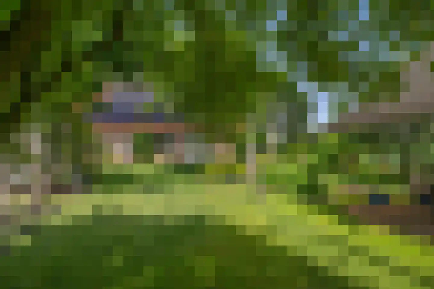 Nieuwe Krim 41 Coevorden thumbnail 48