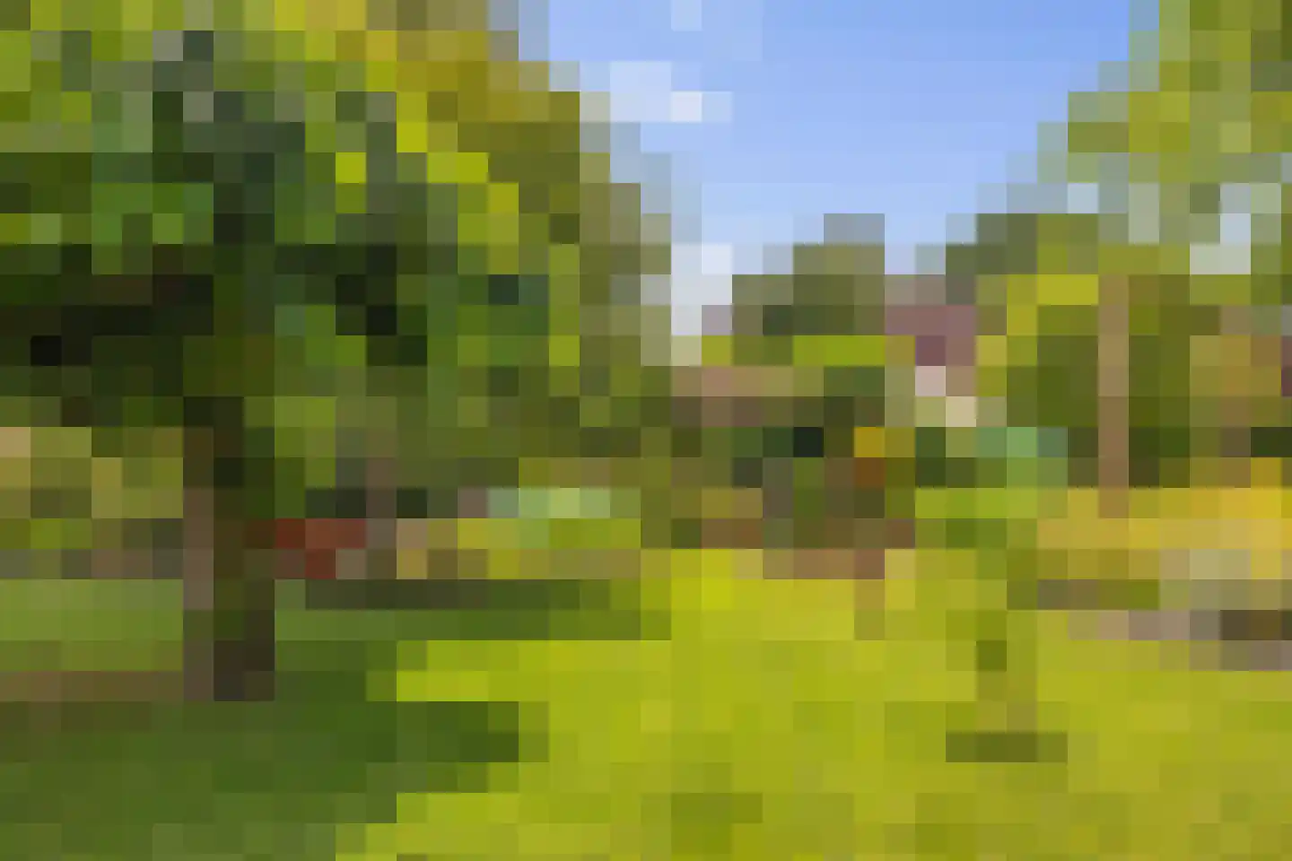 Nieuwe Krim 41 Coevorden thumbnail 49