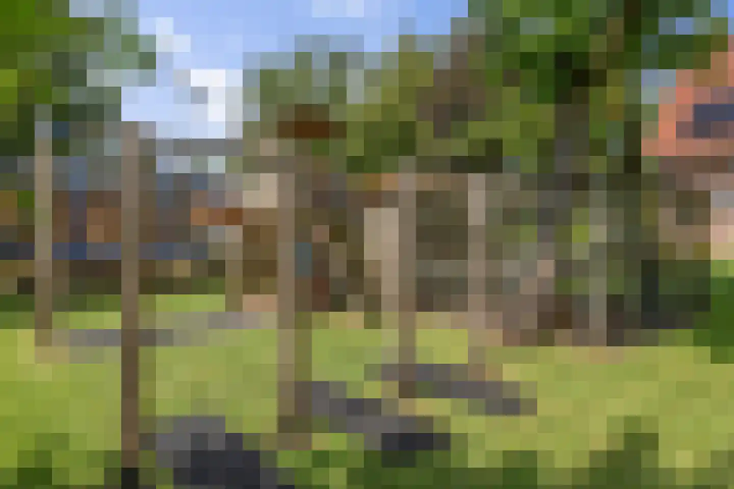 Nieuwe Krim 41 Coevorden thumbnail 51