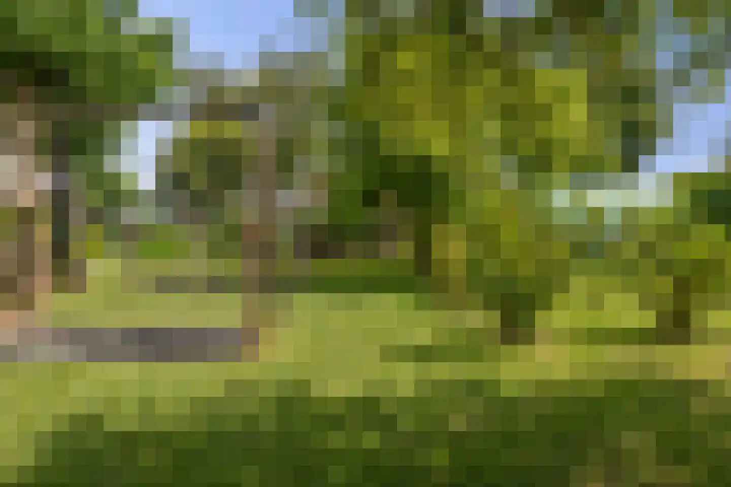 Nieuwe Krim 41 Coevorden thumbnail 52