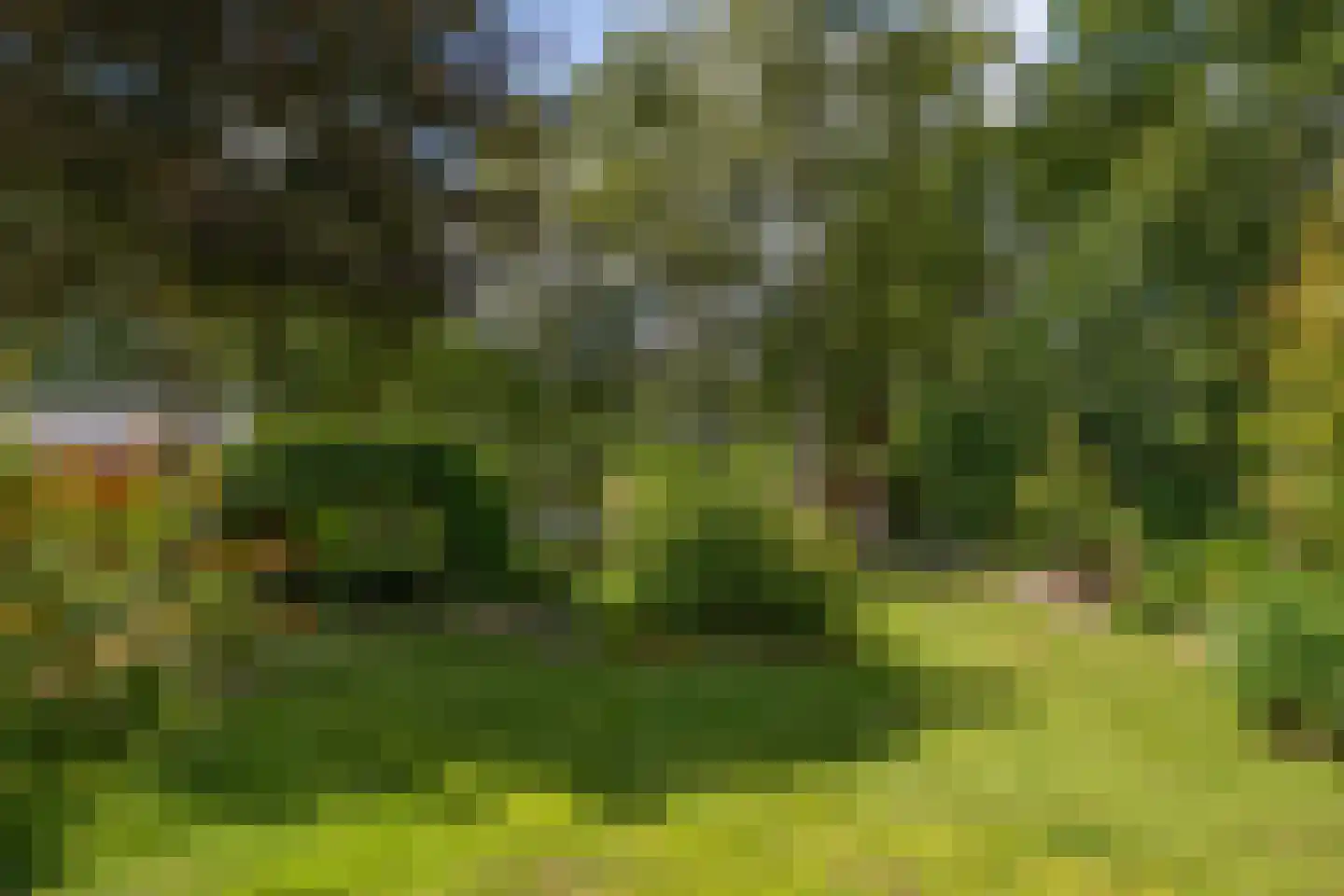 Nieuwe Krim 41 Coevorden thumbnail 53