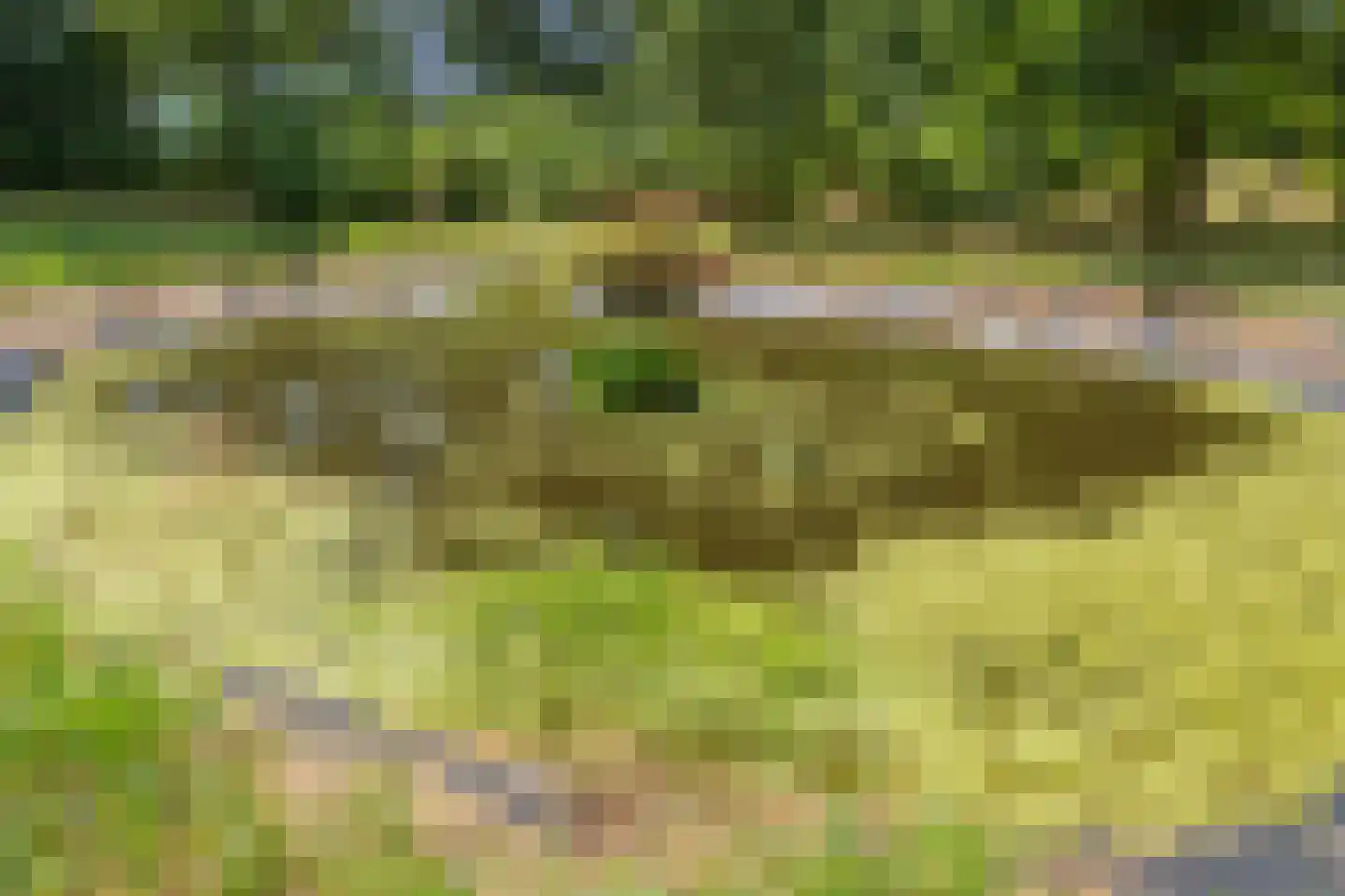Nieuwe Krim 41 Coevorden thumbnail 10