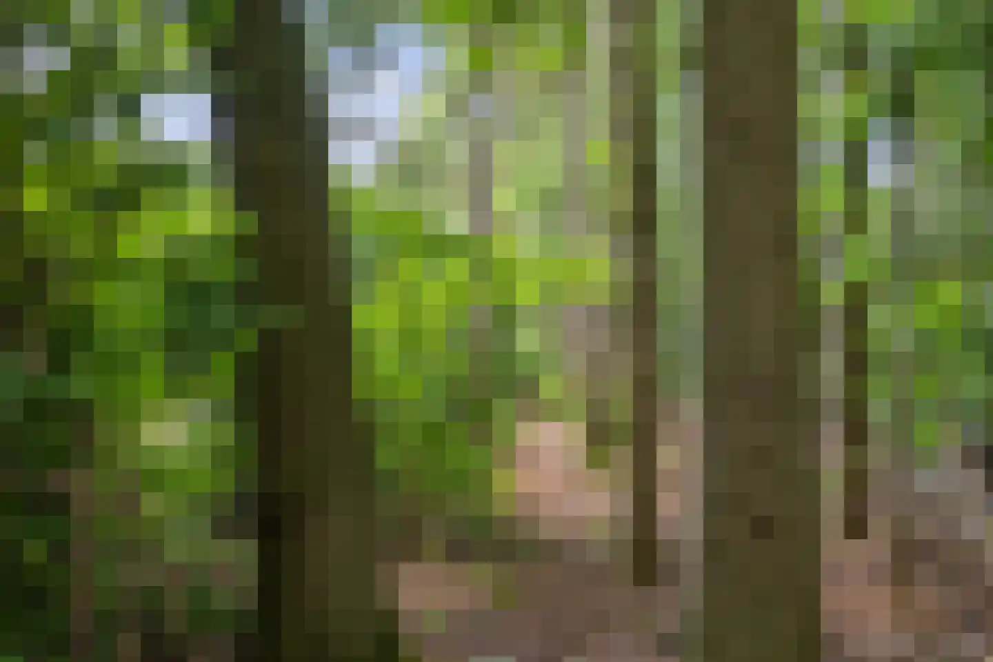 Nieuwe Krim 41 Coevorden thumbnail 64
