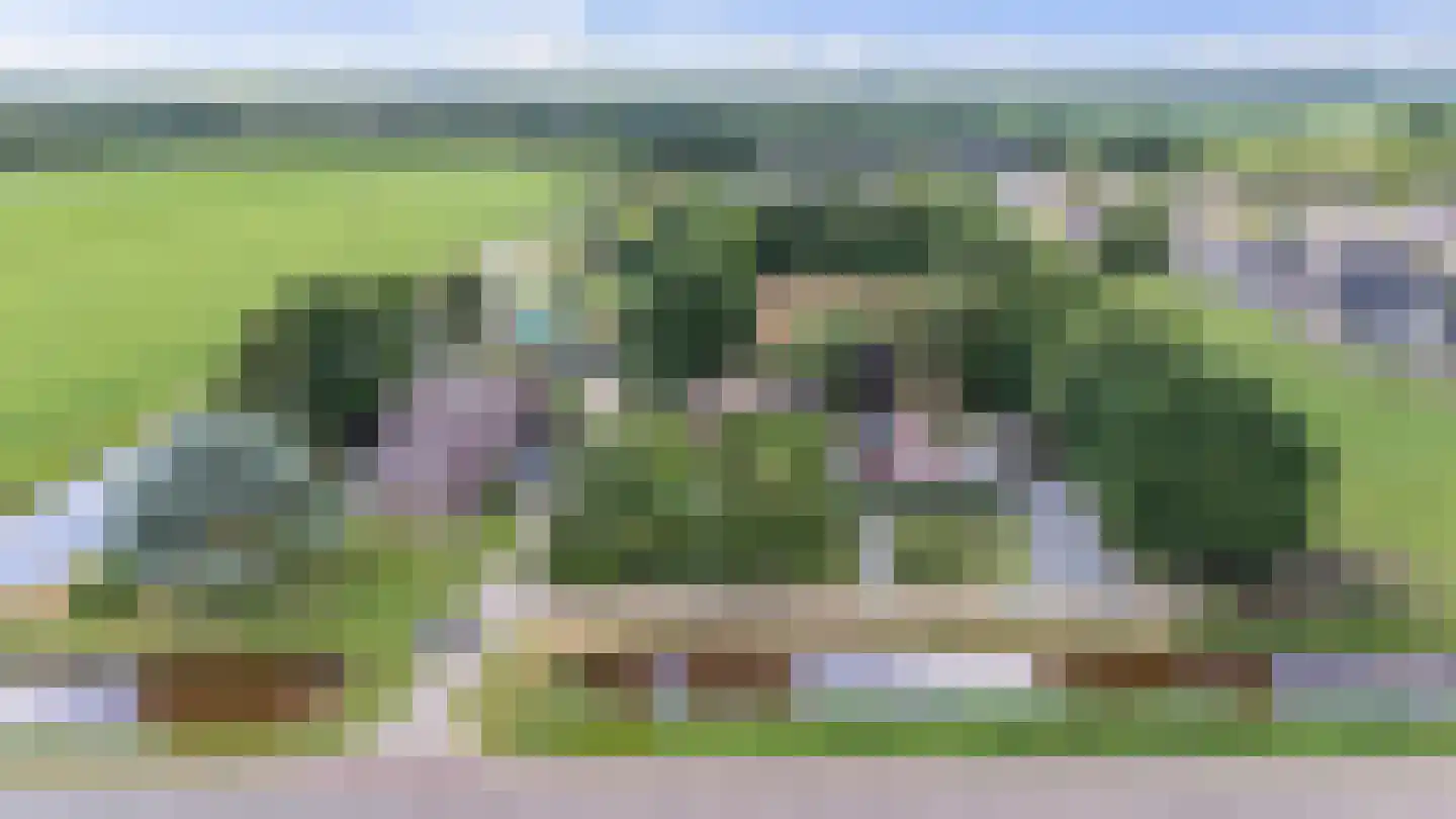 Nieuwe Krim 41 Coevorden thumbnail 65