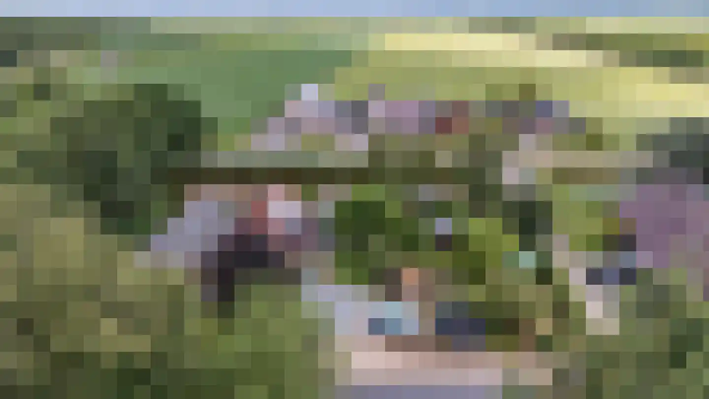 Nieuwe Krim 41 Coevorden thumbnail 11