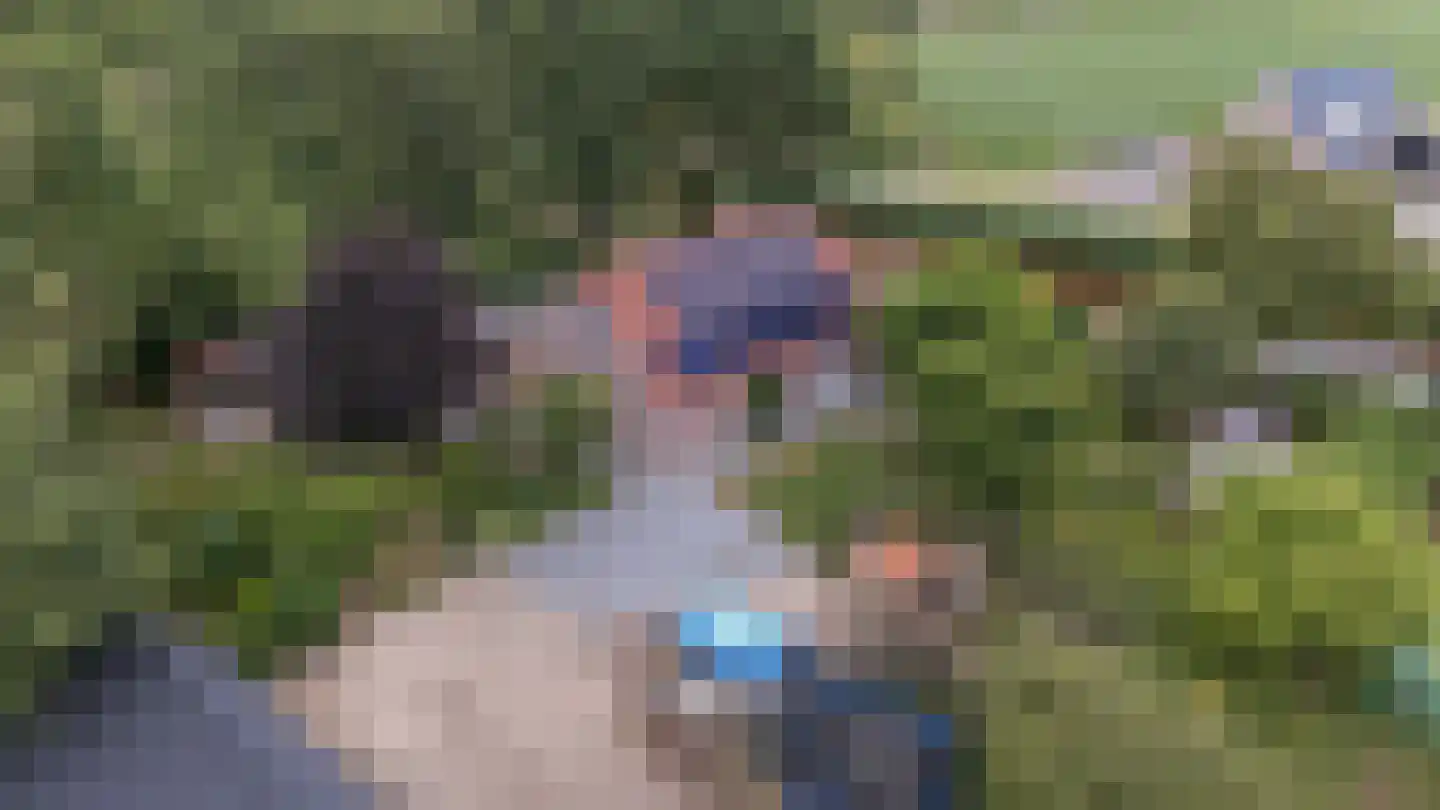 Nieuwe Krim 41 Coevorden thumbnail 68