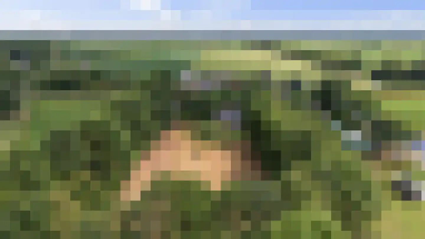 Nieuwe Krim 41 Coevorden thumbnail 69