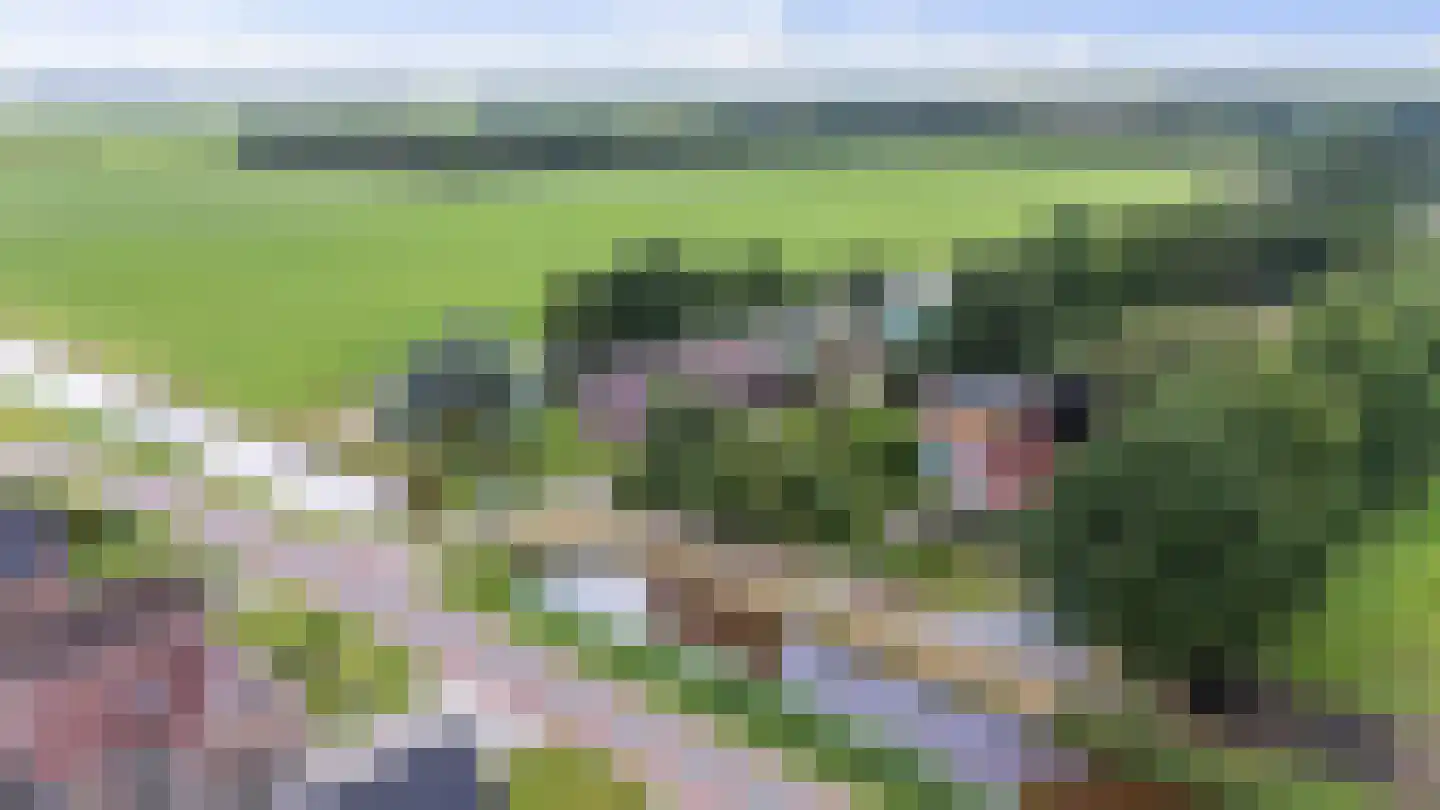 Nieuwe Krim 41 Coevorden thumbnail 70