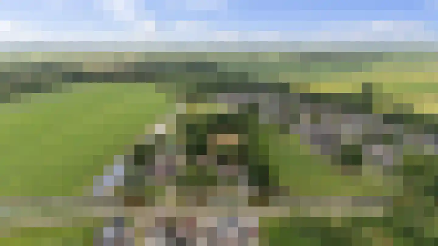 Nieuwe Krim 41 Coevorden thumbnail 72