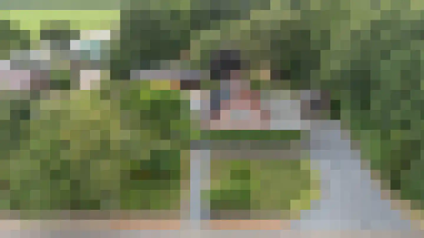 Nieuwe Krim 41 Coevorden thumbnail 73