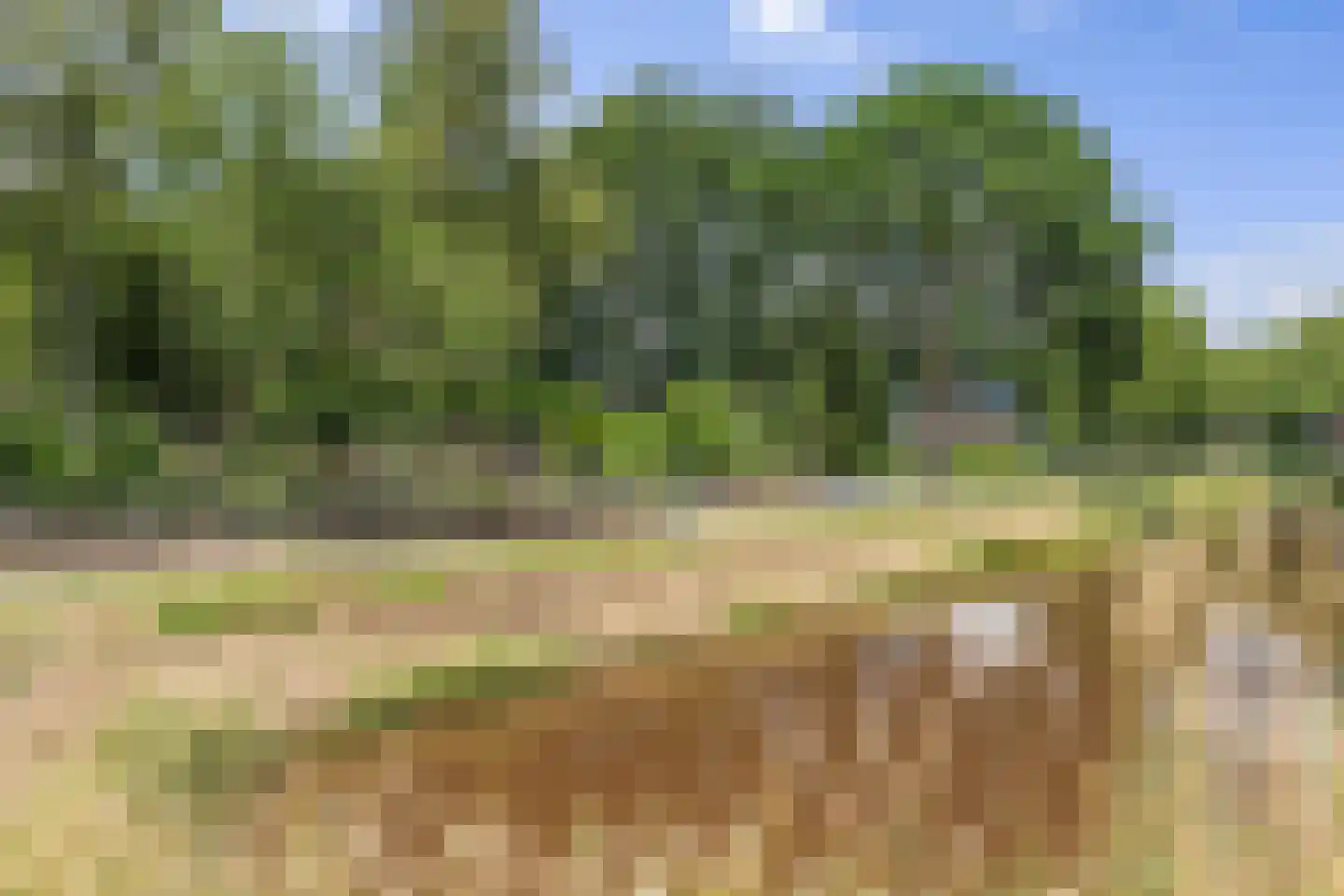 Nieuwe Krim 41 Coevorden thumbnail 81