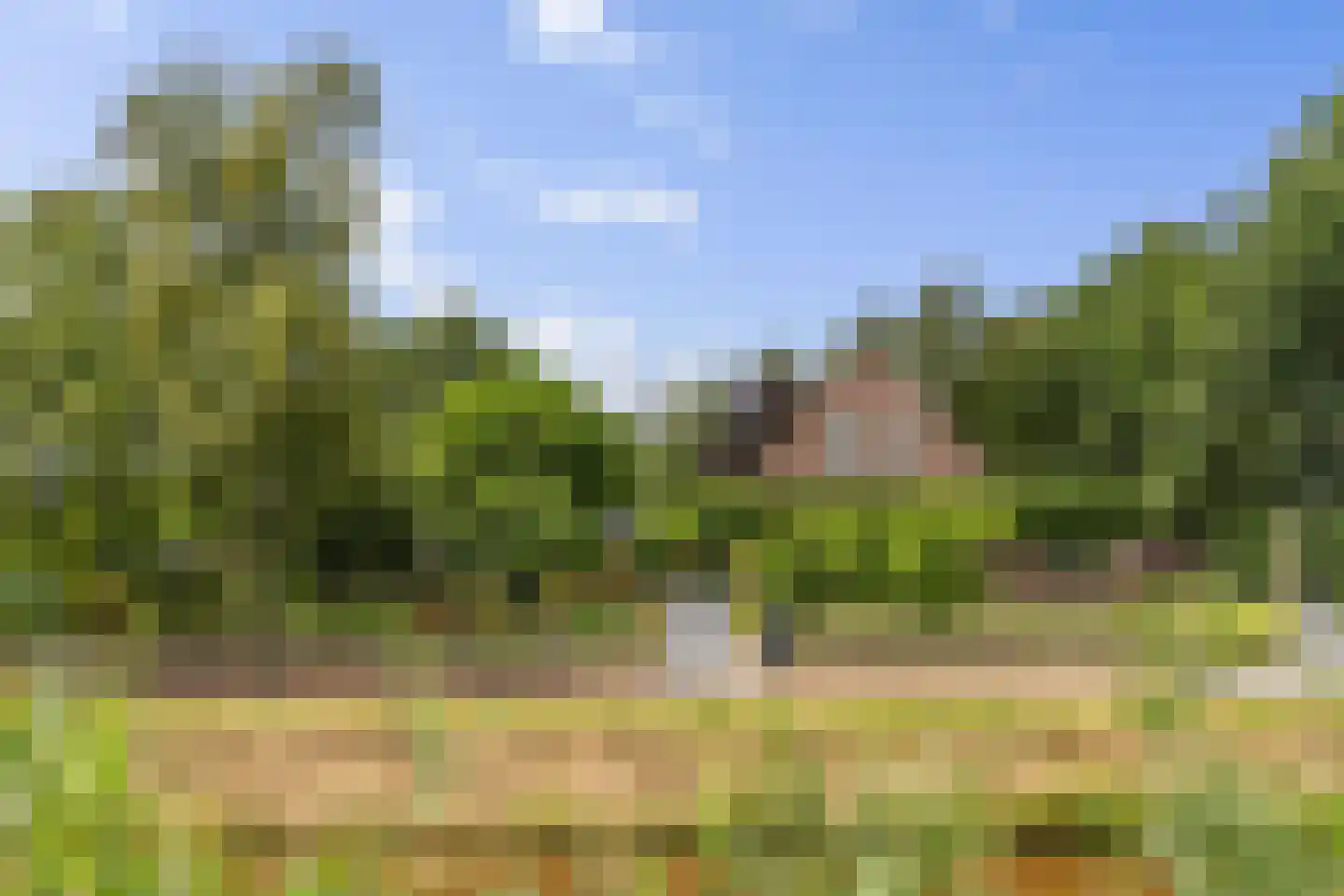 Nieuwe Krim 41 Coevorden thumbnail 82