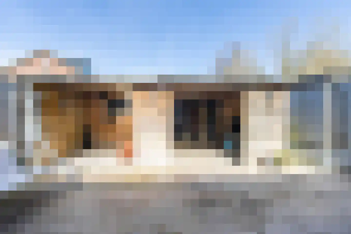Nieuwe Kruisstraat 20 Rossum thumbnail 27