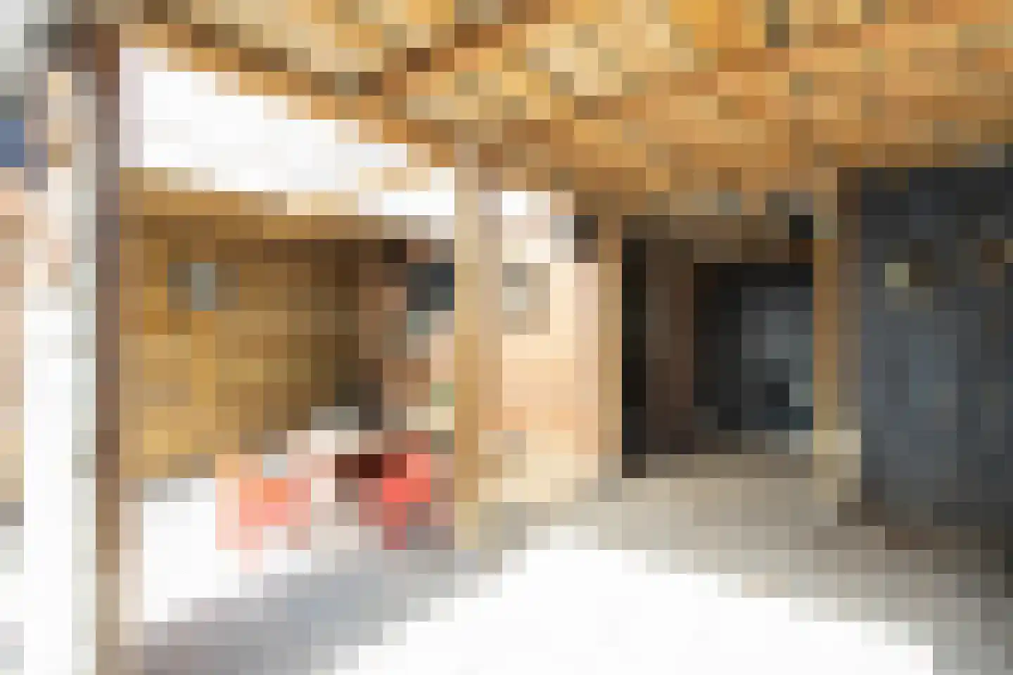 Nieuwe Kruisstraat 20 Rossum thumbnail 28