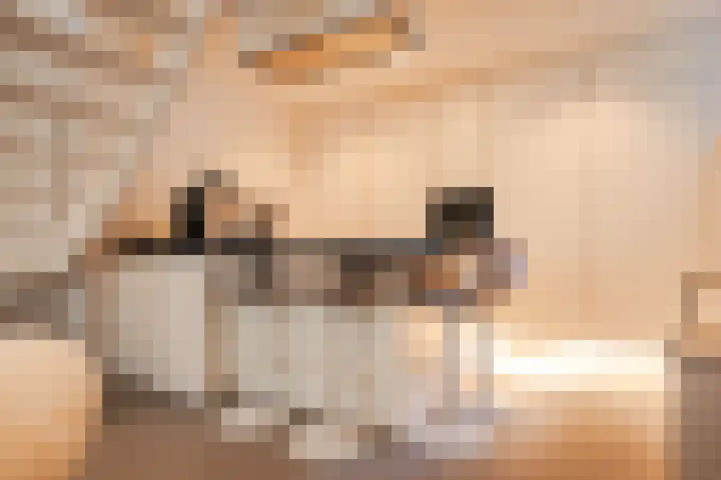Nieuwe Kruisstraat 23 Haarlem thumbnail 10
