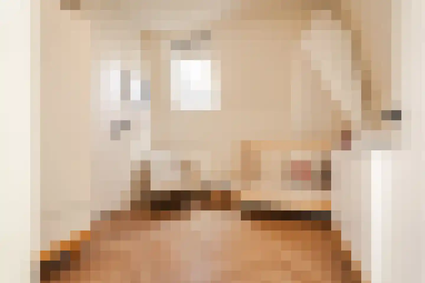 Nieuwe Kruisstraat 23 Haarlem thumbnail 28