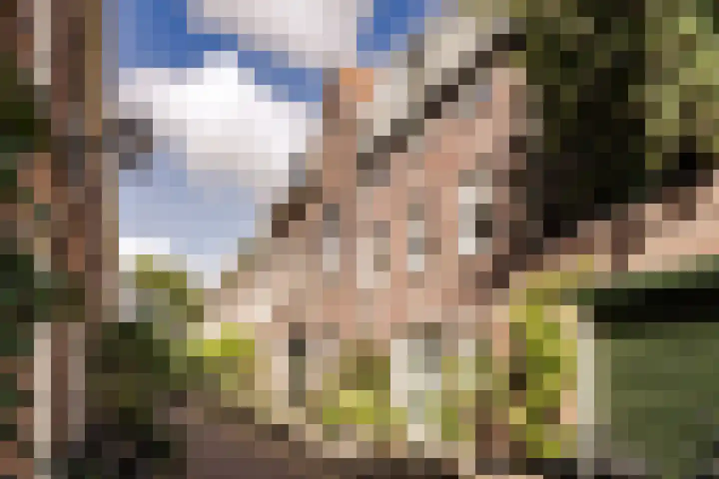 Nieuwe Kruisstraat 23 Haarlem thumbnail 37