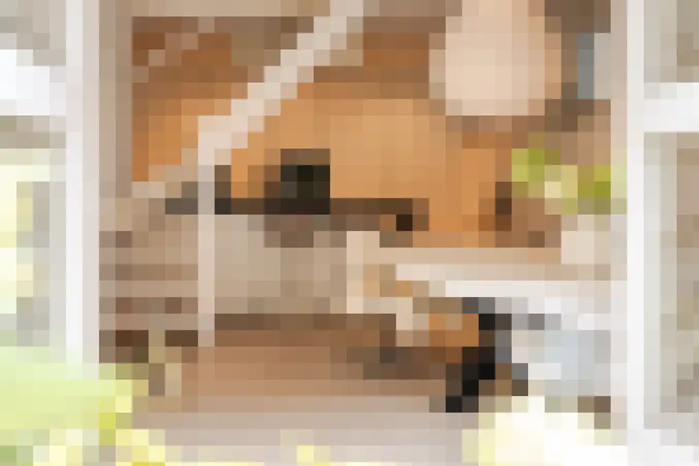 Nieuwe Kruisstraat 23 Haarlem thumbnail 5