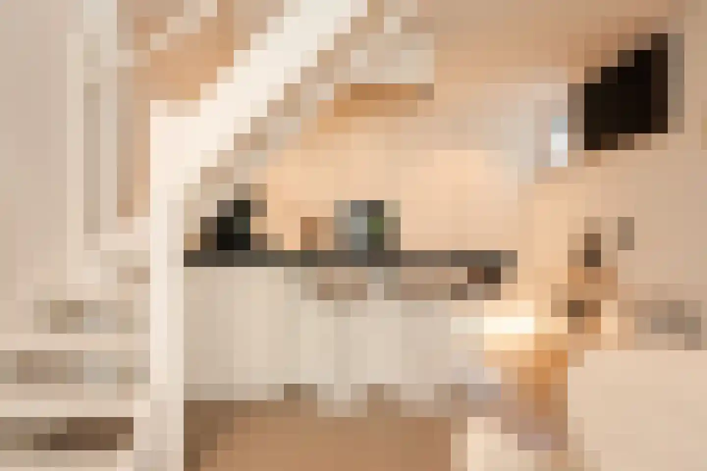 Nieuwe Kruisstraat 23 Haarlem thumbnail 8