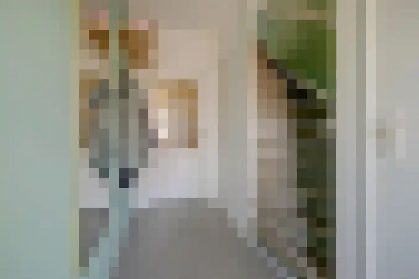 Nieuwe Kruisstraat 5 Rossum thumbnail 15
