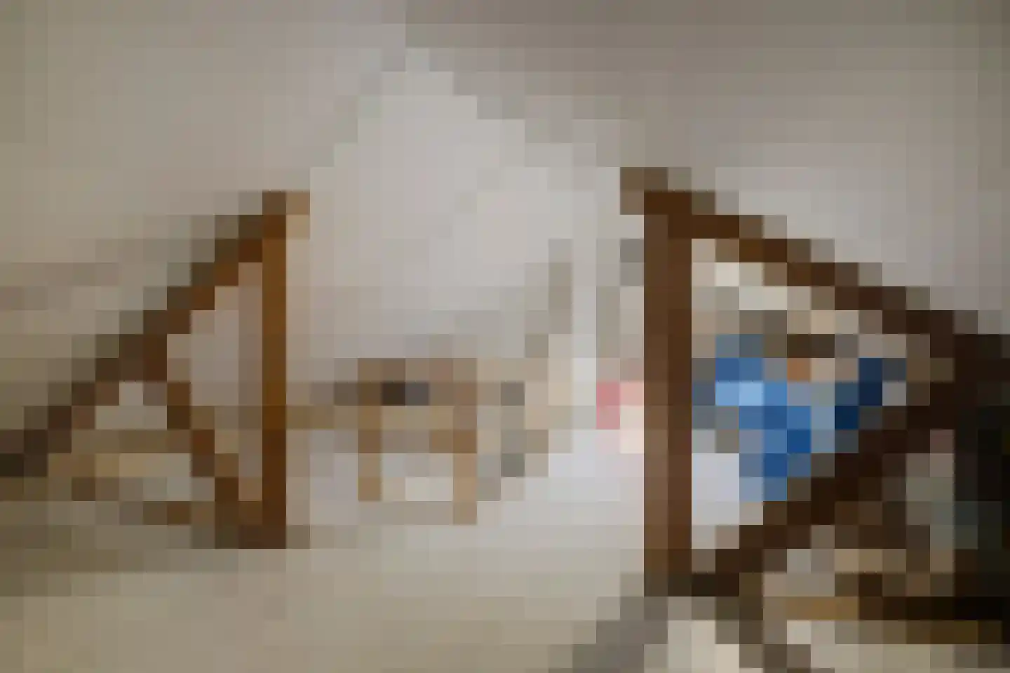 Nieuwe Kruisstraat 5 Rossum thumbnail 25
