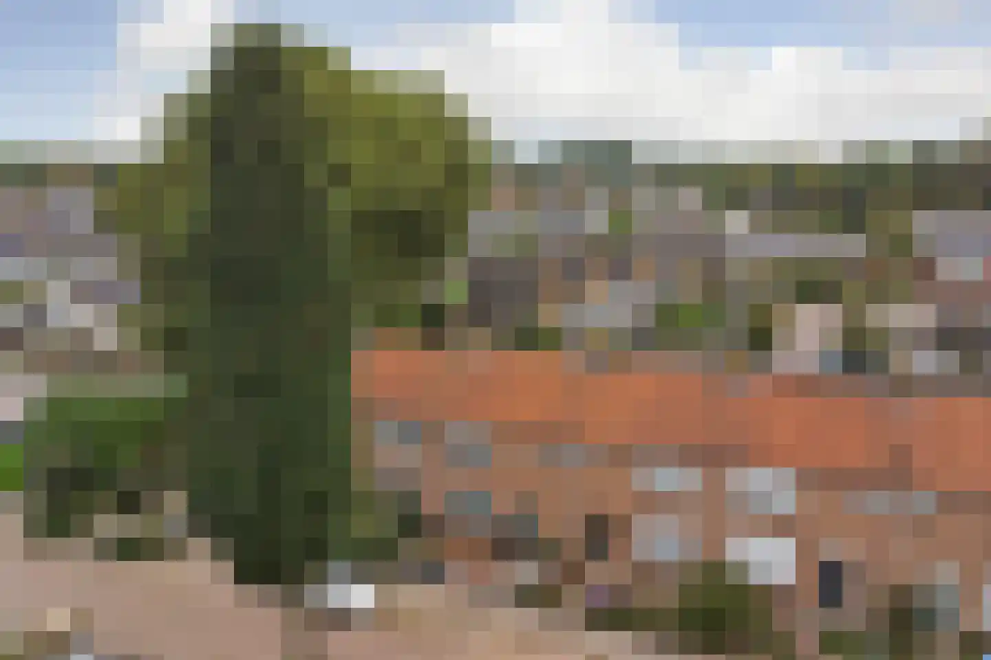 Nieuwe Kruisstraat 5 Rossum thumbnail 37